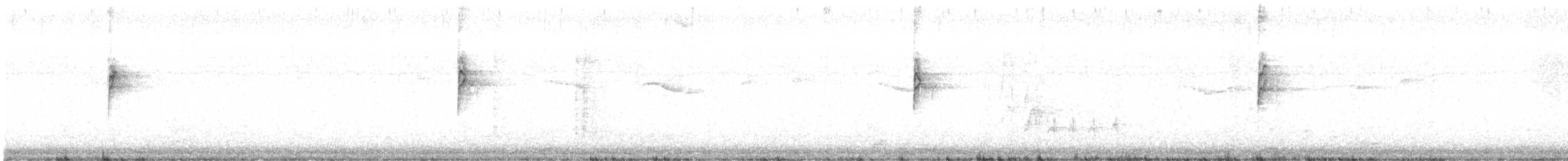 Белобровая овсянка (pugetensis) - ML321703961