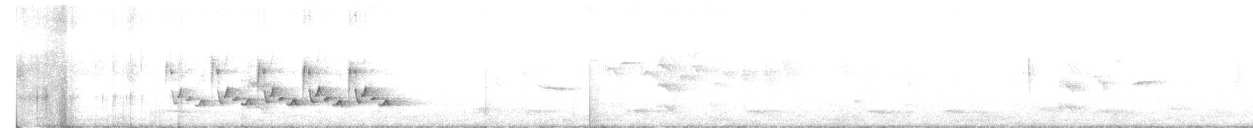 Поплітник каролінський - ML321709081