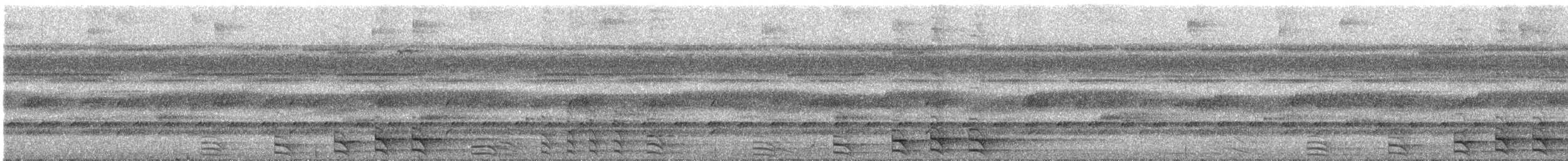 ヨコジマモリハヤブサ - ML321711631