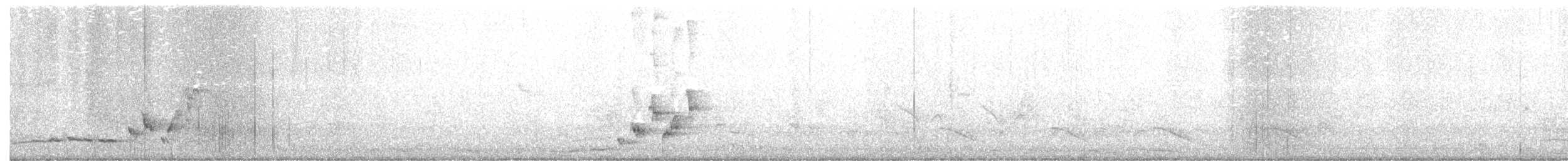 Короткокрылая камышевка - ML321758511
