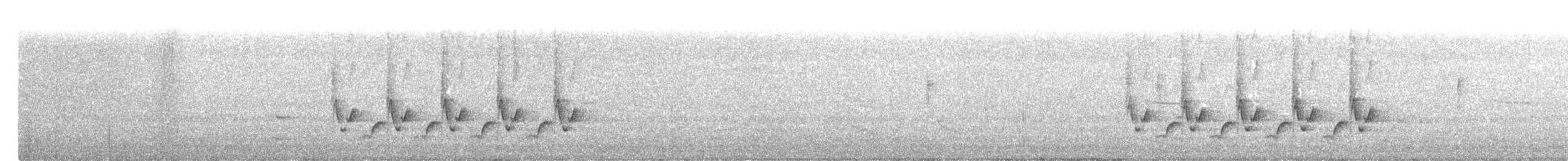 Поплітник каролінський - ML321810531
