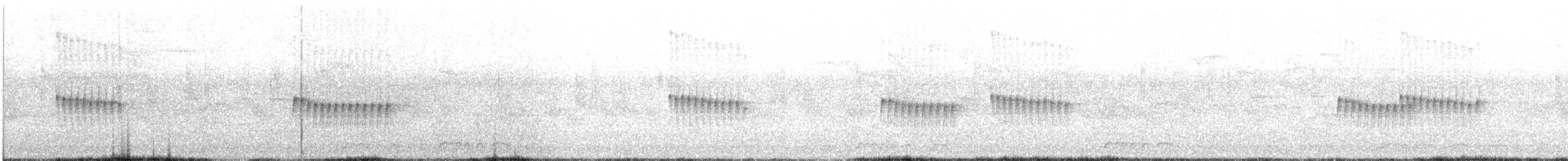 holoubek vlnkovaný - ML321813741