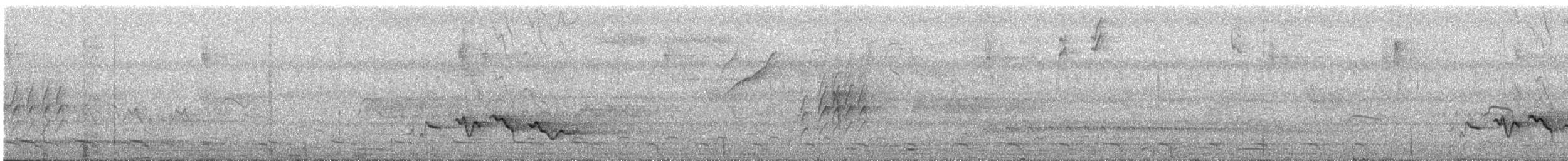 Rostbrauenvireo - ML321838821