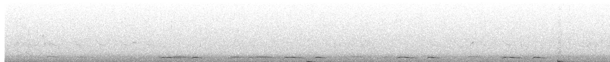 holoubek mexický - ML321903301