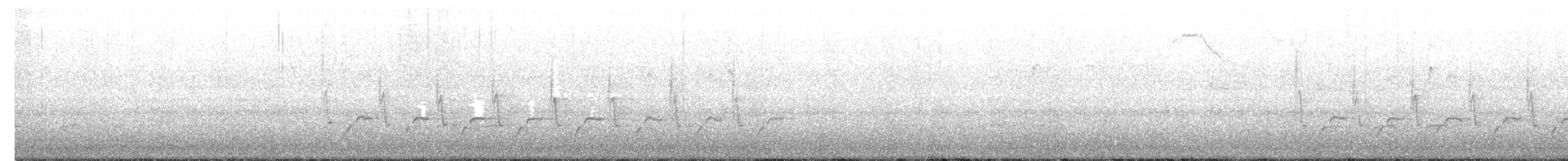 Каролинский крапивник - ML321935591