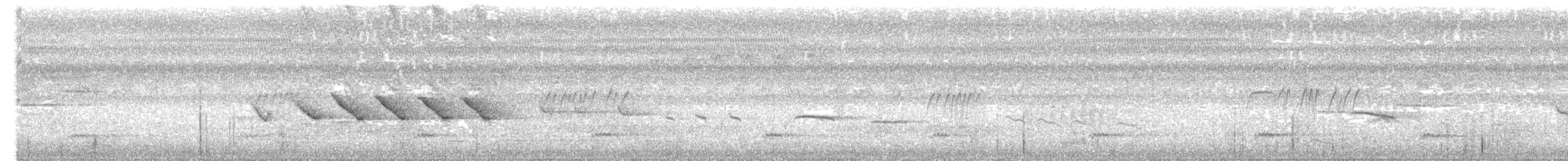 オオヒメコノハドリ - ML322061341