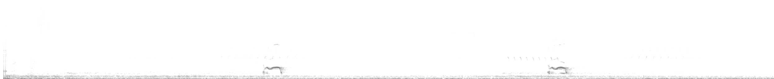 Mountain Quail - ML322076851