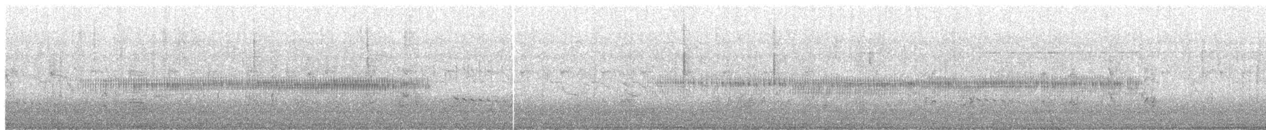 Savi's Warbler - ML322095611