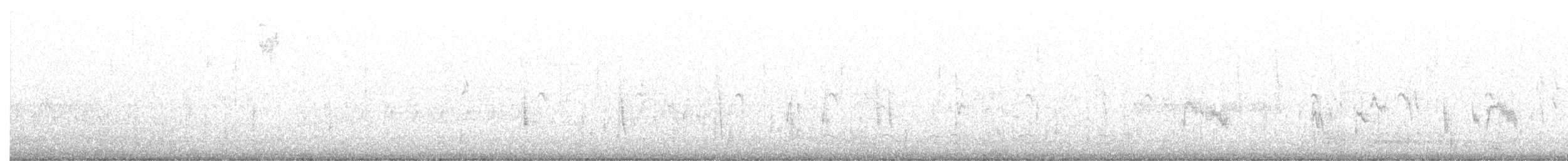 Diademhäher [stelleri-Gruppe] - ML322103911