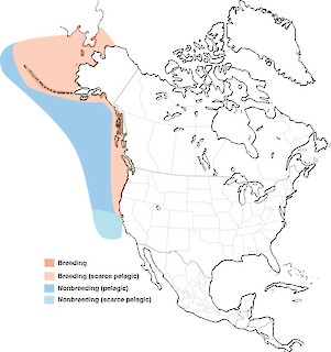 Figure 1. Distribution of the Tufted Puffin in North America and easternmost Russia. - Range Map