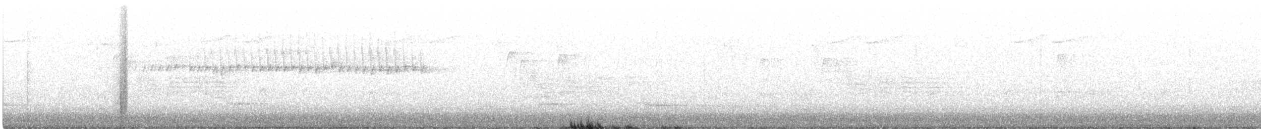 Kara Gözlü Junko (hyemalis/carolinensis) - ML322141281