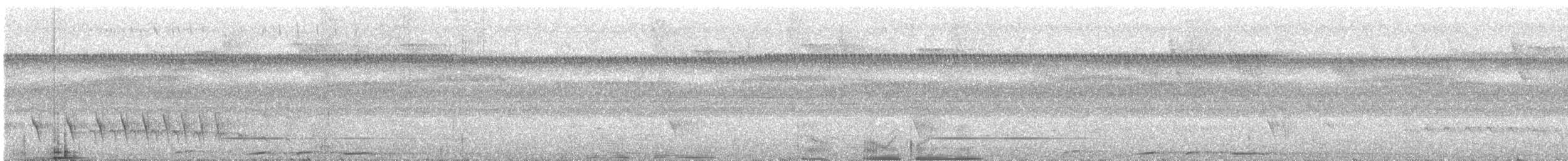 Spot-tailed Antwren - ML322185961