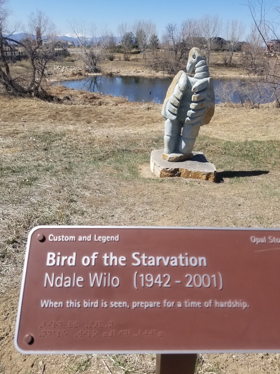 Canada Goose - ML322197441