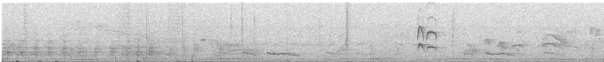 Тиранчик-короткодзьоб північний - ML322221981