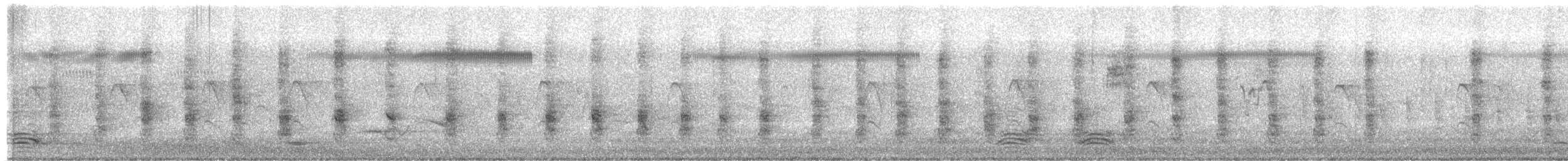 Méliphage de Lewin - ML322276391