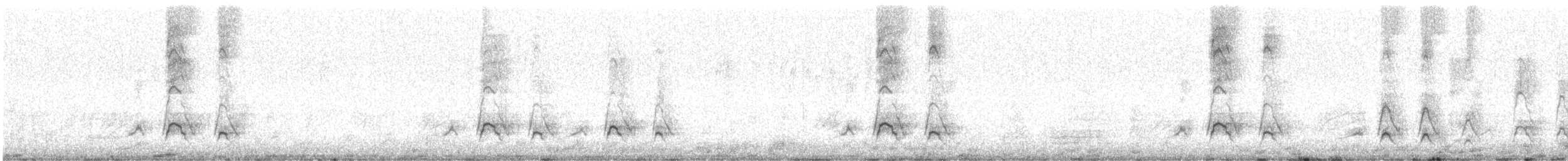 American Wigeon - ML322331151