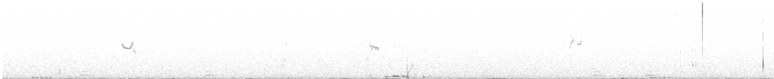 Gallo de las Artemisas Grande - ML322367491
