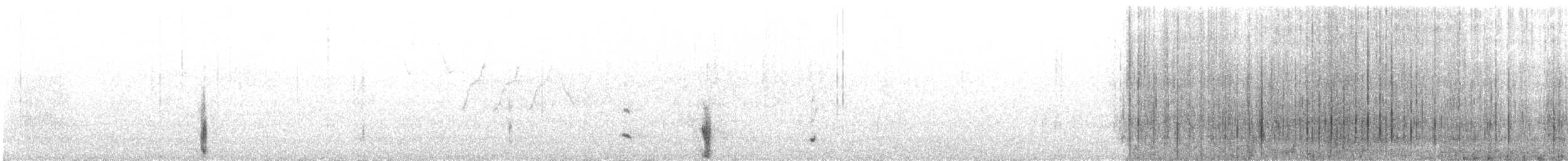 Турпан горбатодзьобий - ML32239891