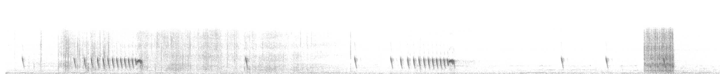 Indian Nightjar - ML322403011