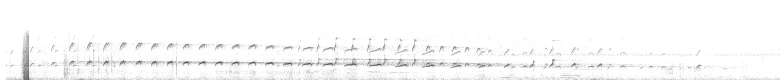 Indian Thick-knee - ML322403051