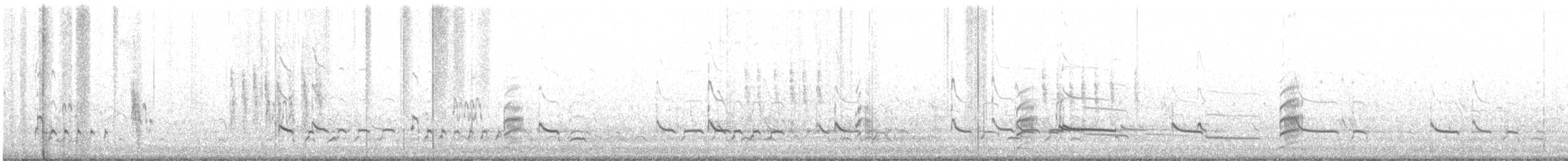 Common Redshank - ML322426311