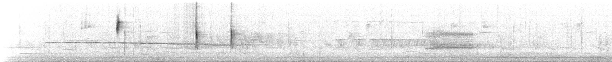 キヅタアメリカムシクイ（coronata） - ML322427981