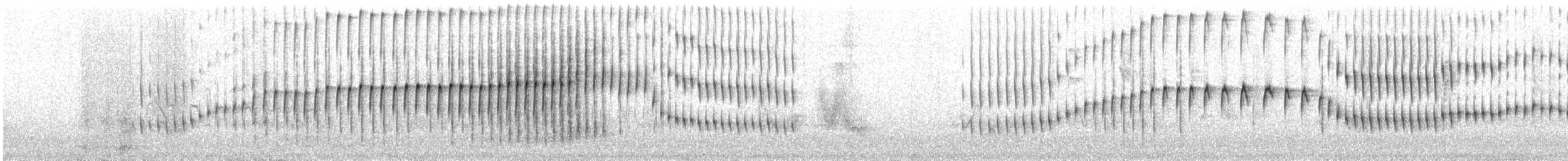 インキジヴィカザリドリ - ML32243321