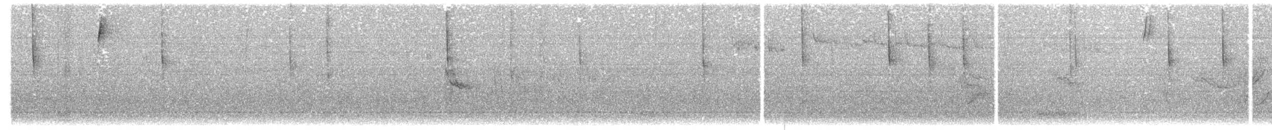 Stachelschwanzschlüpfer - ML322435931
