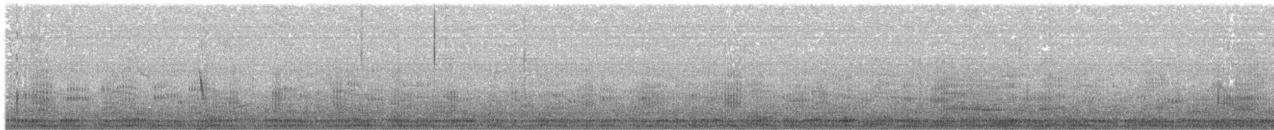Neotropic Cormorant - ML322484361