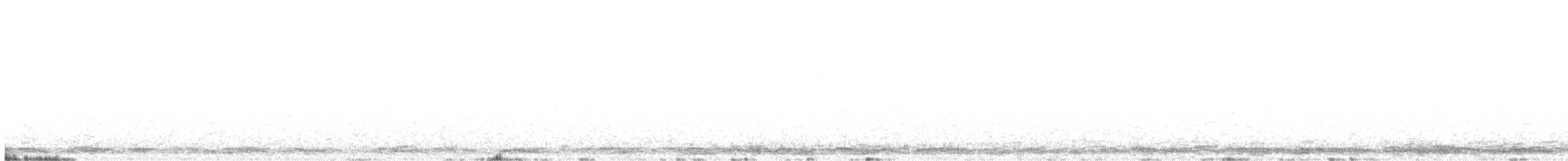 Cygne siffleur - ML322491961