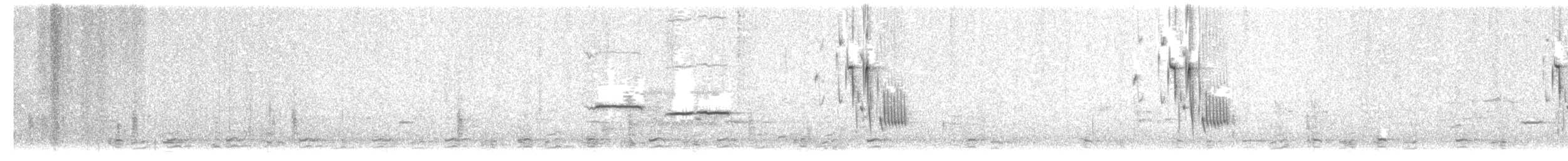 Black-capped Chickadee - ML322532181