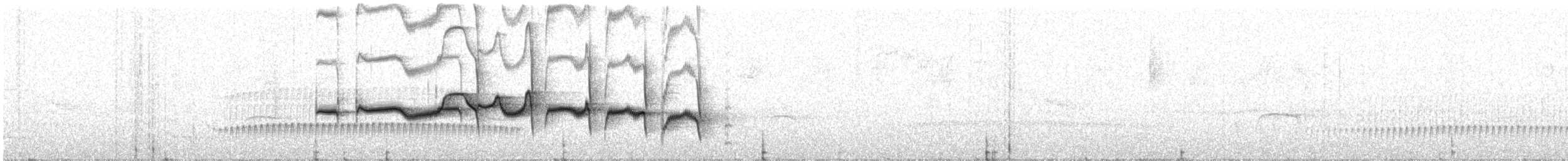 Strichelrücken-Ameisenfänger - ML322555361