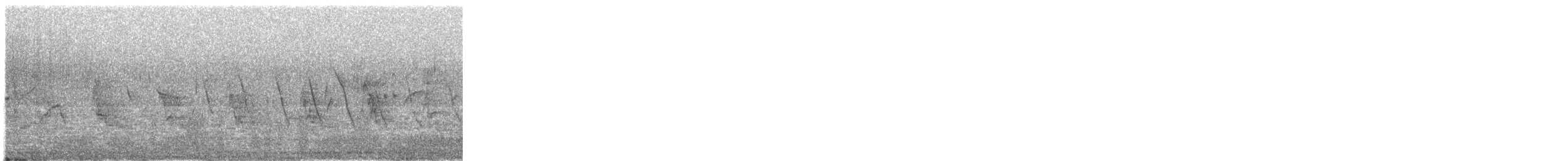 eikesanger - ML322557451