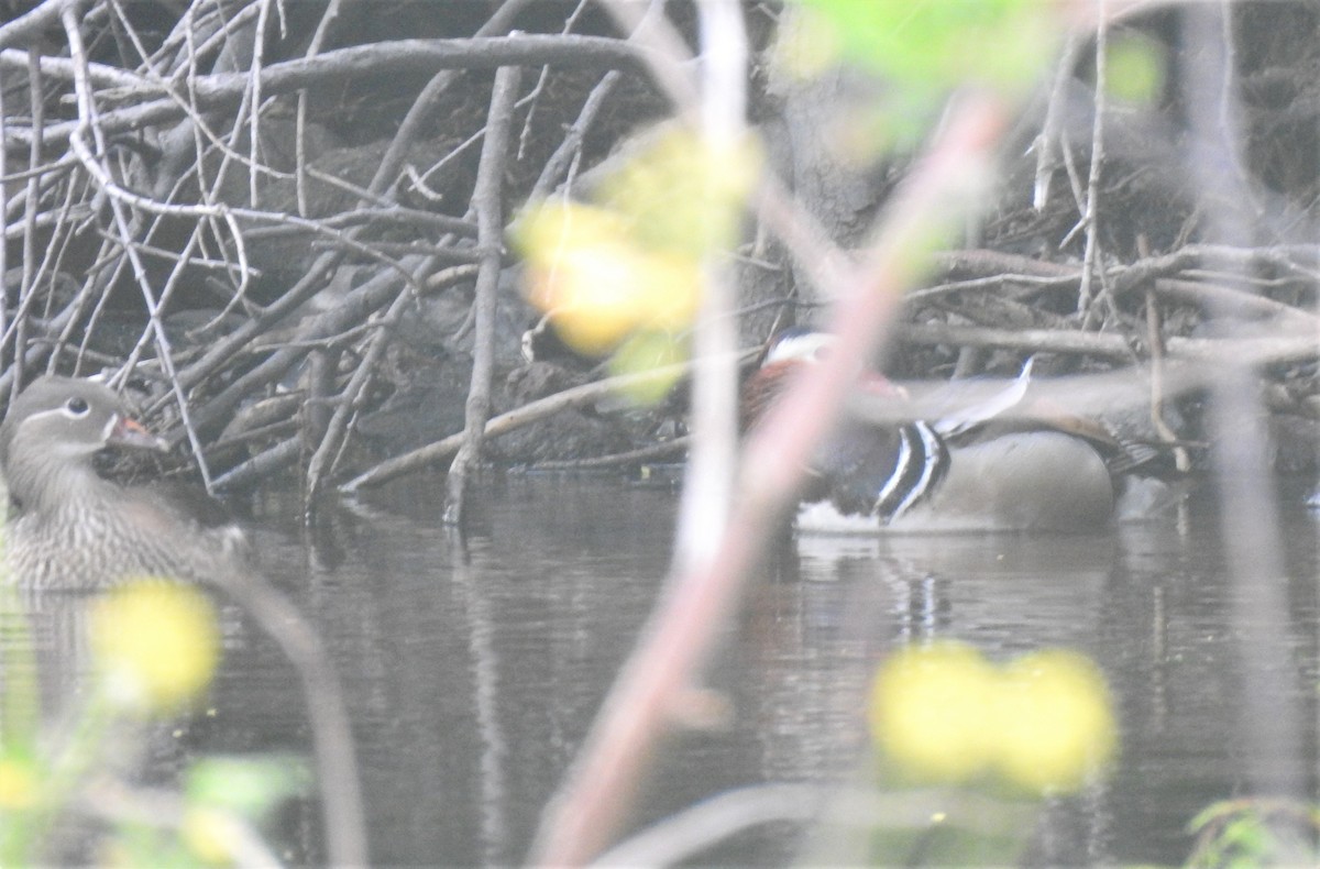 Мандир уранхажин - ML322559001