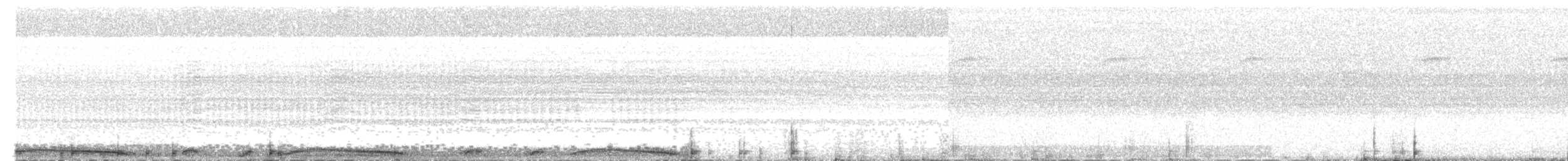 holub neotropický - ML32259141