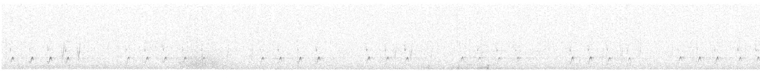 Fichtenkreuzschnabel (Typ 4) - ML322597291