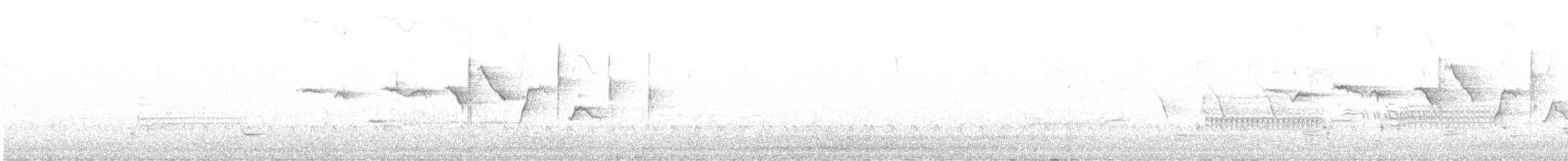 Hudson Körfezi Serçesi - ML322657301