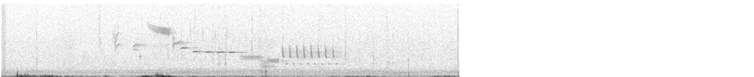 Bewick's Wren - ML322661441
