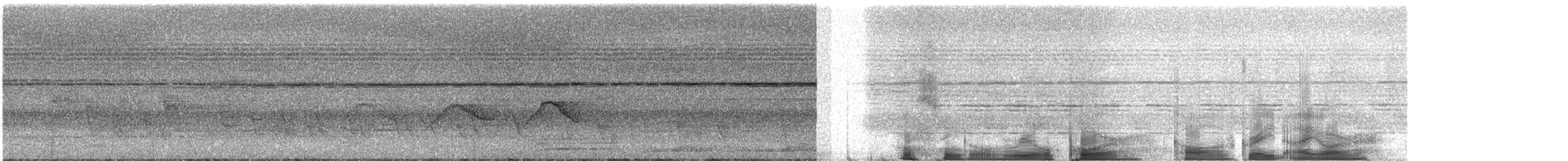 オオヒメコノハドリ - ML322698611