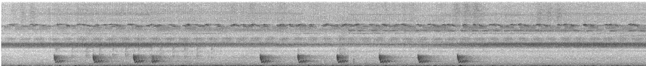 Large-tailed Nightjar - ML322720341