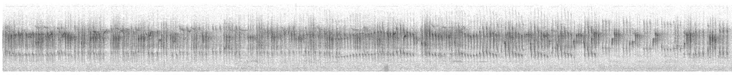 Stachelschwanzschlüpfer - ML322806901