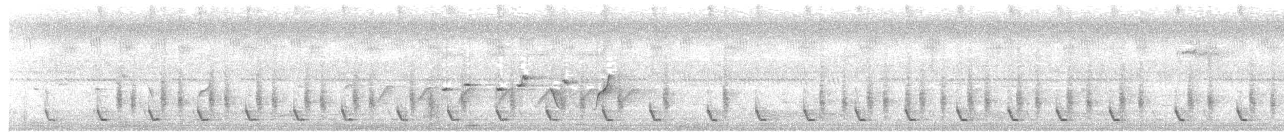 Синчівка смугастовола [група bornensis] - ML322806981