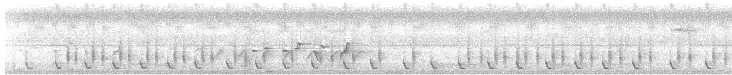 bredstripemeisetimal (bornensis gr.) - ML322806981