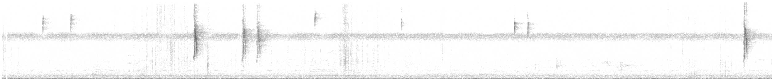 gyllenkroneparula (hypoleucus) (hvitbukparula) - ML322810571