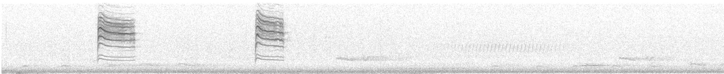 nordmyggsmett (caerulea) - ML322911301