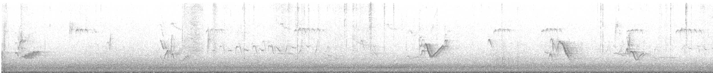 Cassin's Vireo - ML322915361