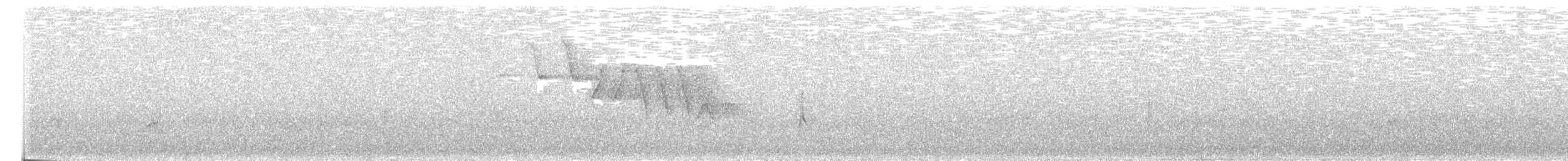 Yellow Warbler (Northern) - ML322921951