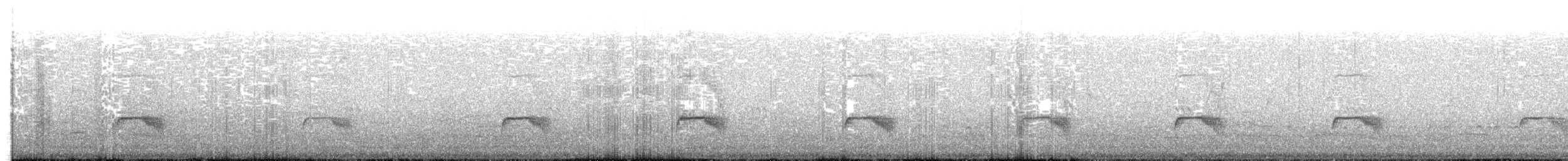 Schmalspiegel-Nachtschwalbe - ML32303961