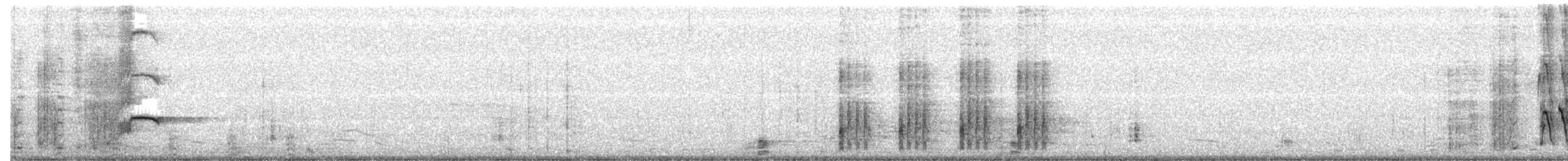 Great-tailed Grackle - ML323108831