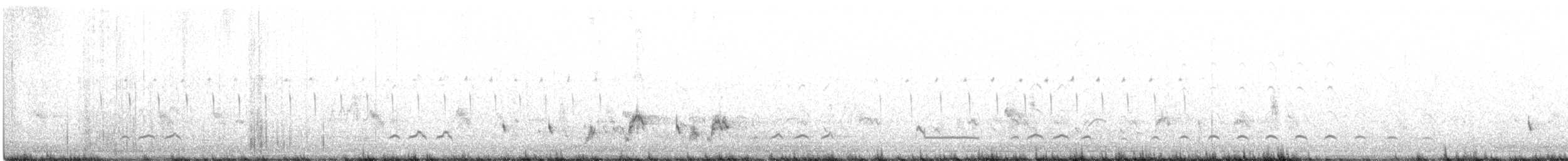 Азийн сүвээ цагаан - ML323163691